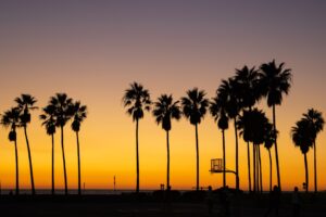 76ers-photo-4.jpg