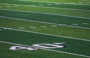eagles-photo-83.jpg