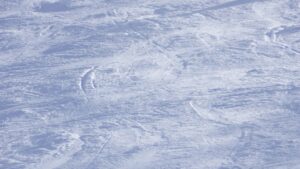 flyers-photo-7.jpg