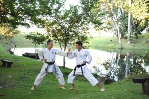 ufc-photo-129.jpg