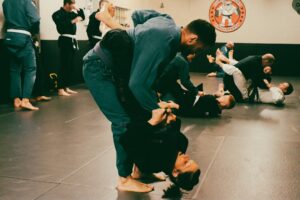 ufc-photo-132.jpg
