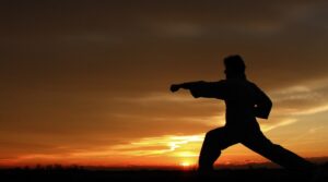 ufc-photo-224.jpg