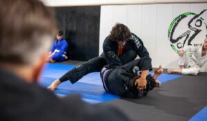 ufc-photo-225.jpg