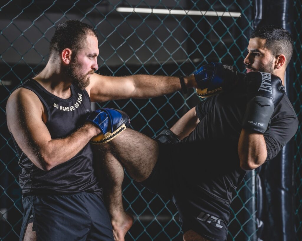 ufc-photo-229.jpg