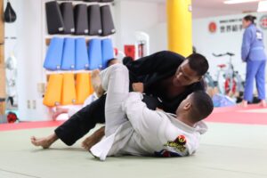 ufc-photo-96.jpg