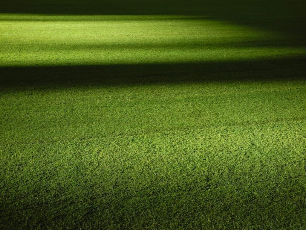 union-photo-45.jpg
