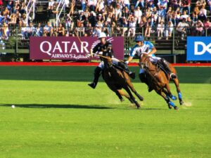 world-sports-photo-149.jpg