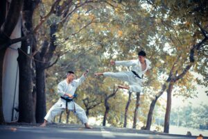 ufc-photo-47.jpg