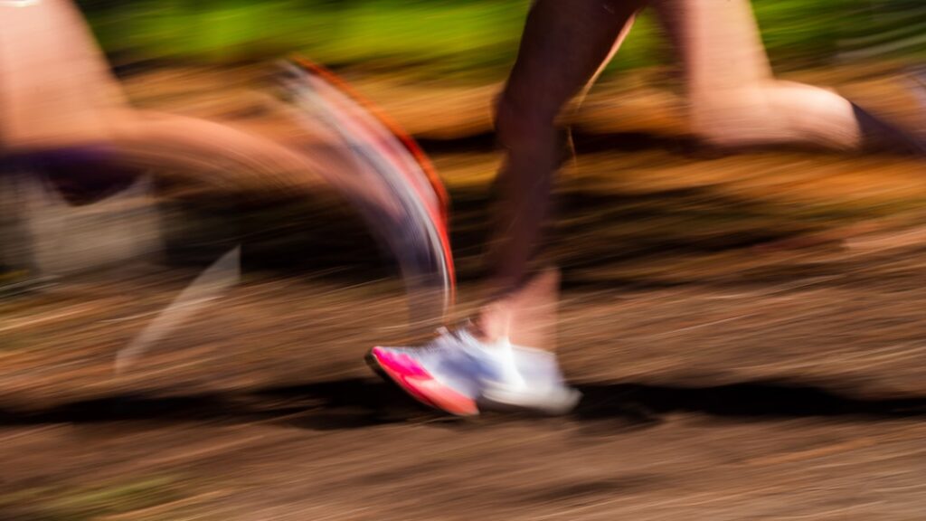 world-sports-photo-13.jpg