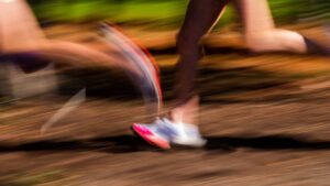 world-sports-photo-13.jpg