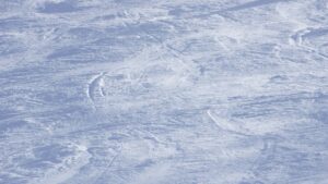 flyers-photo-17.jpg
