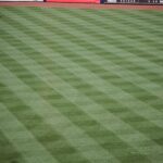 phillies-photo-26.jpg