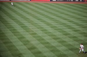 phillies-photo-26.jpg
